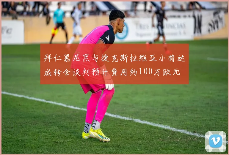 拜仁慕尼黑与捷克斯拉维亚小将达成转会谈判预计费用约100万欧元