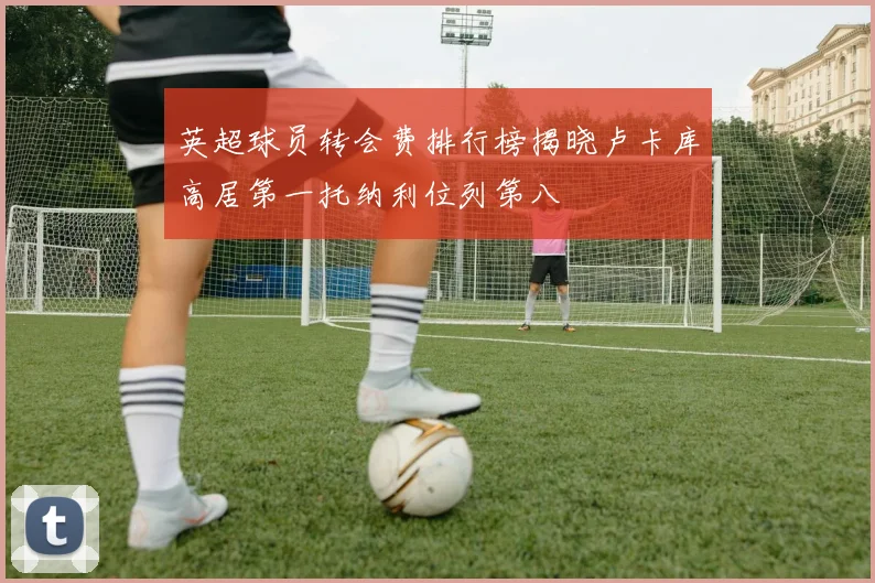 英超球员转会费排行榜揭晓卢卡库高居第一托纳利位列第八
